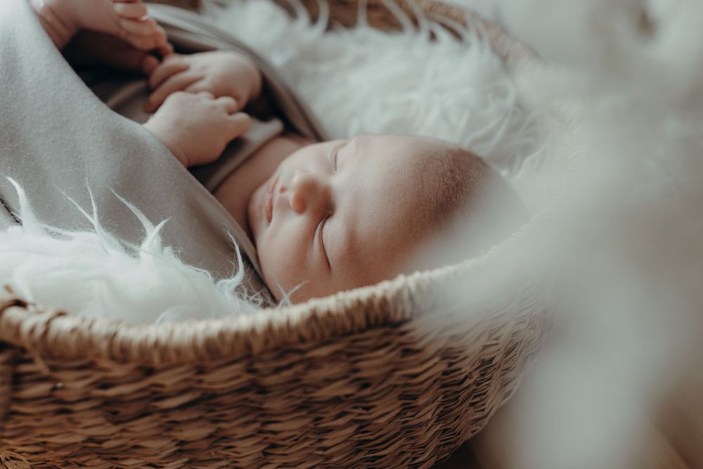 Familienshooting mit Natalia Husemann