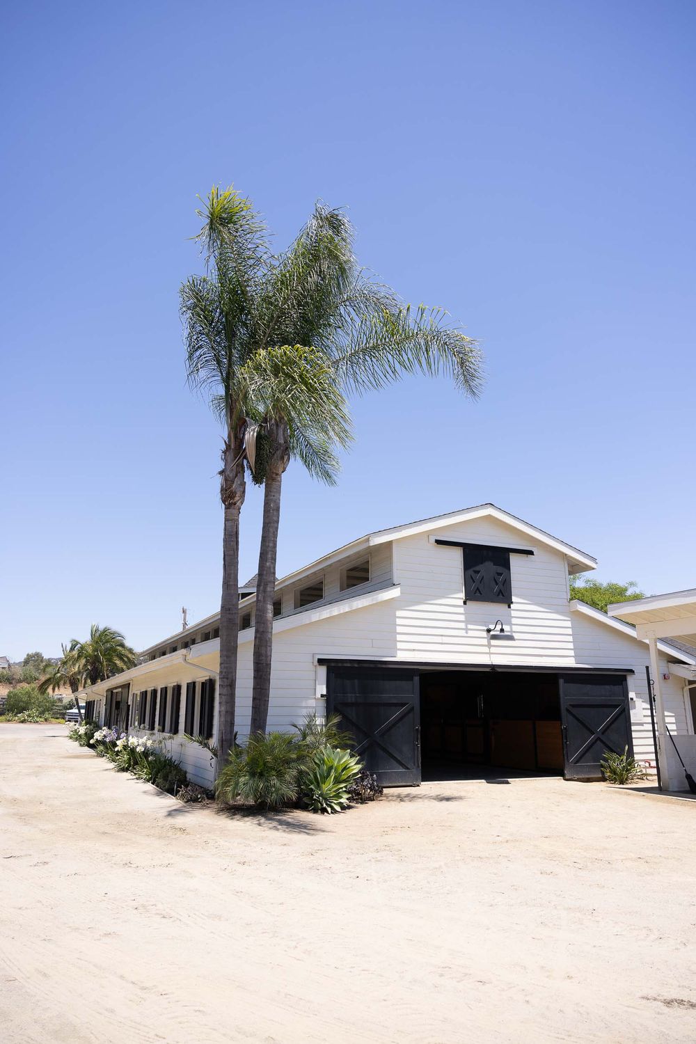 White barn-style building with black sliding doors and tall palm trees against clear blue sky in California.