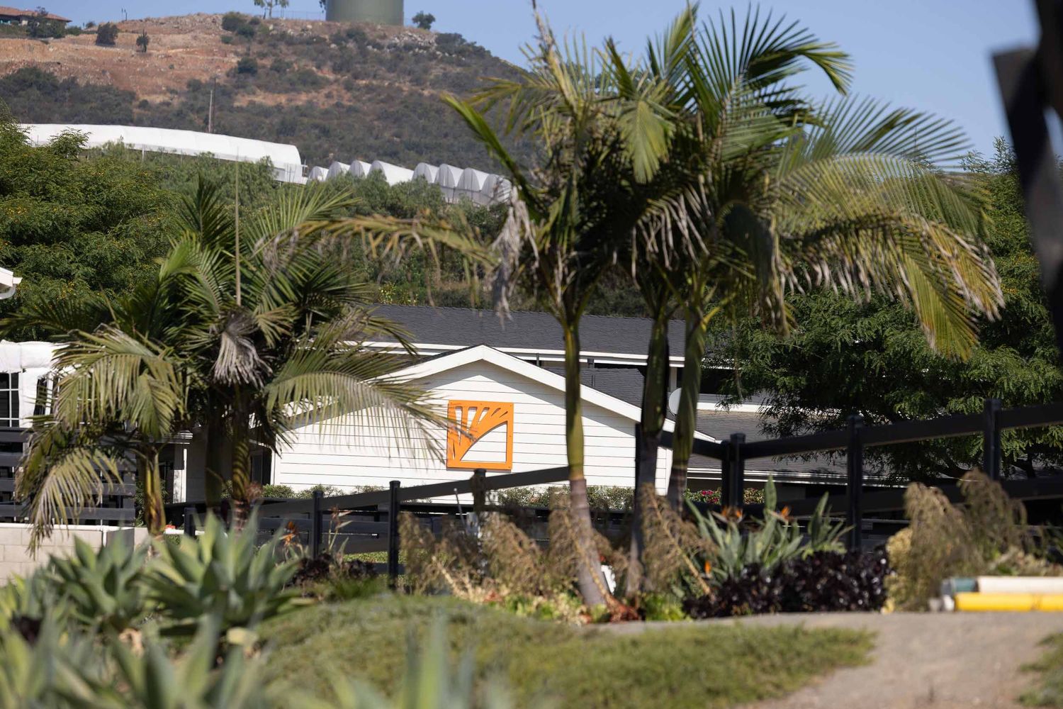 Palm trees frame a mobile home community nestled against dry hillsides in a coastal setting.
