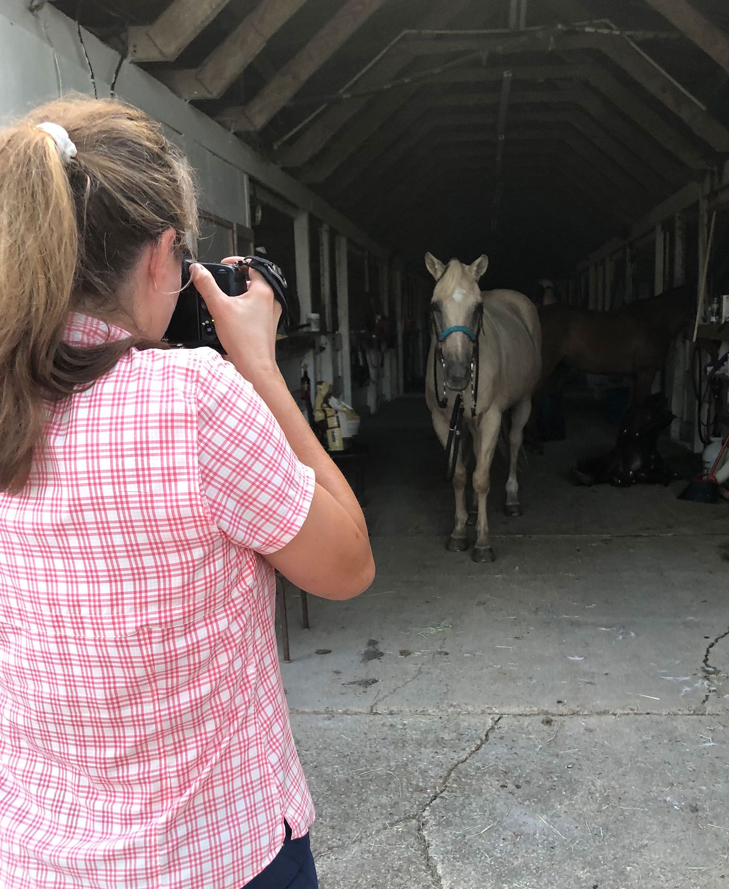 A photographer in a pink plaid shirt takes pictures of a gray horse standing in a dimly lit stable hallway.