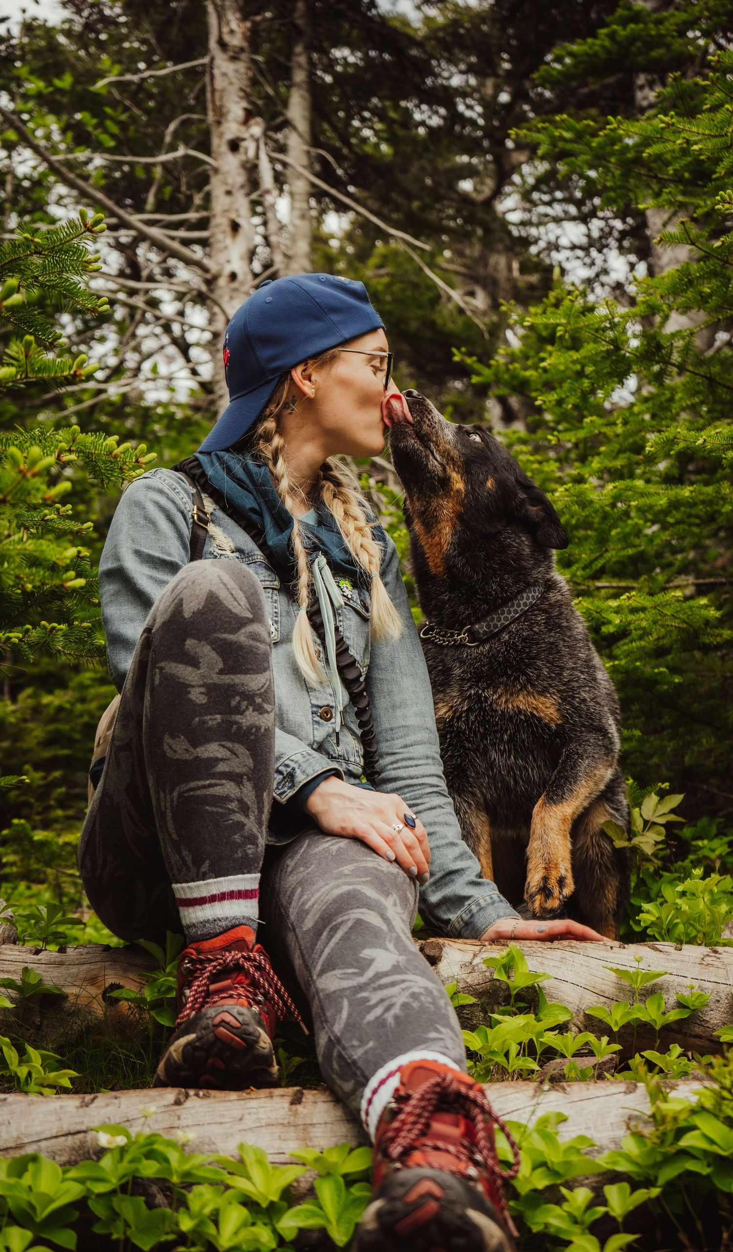 A hiker in outdoor gear sits on a log while a black and tan dog gives affectionate kisses in a forested setting.