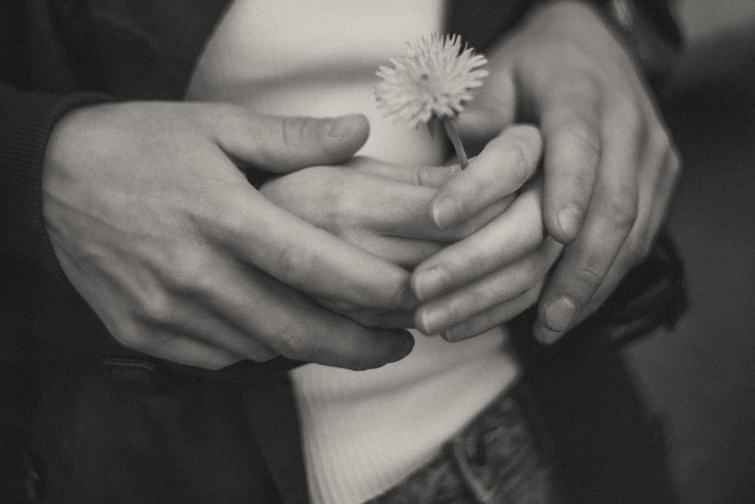 A tender moment of Valentin wrapping his arms around Elina against flower
.