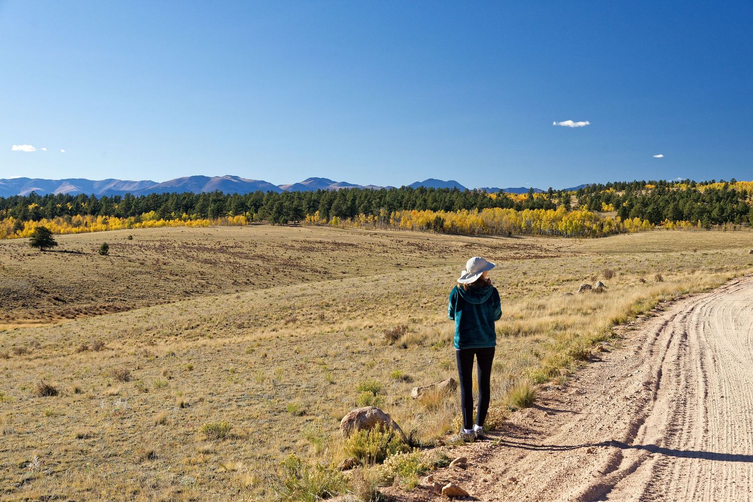 Hiker walking on dirt road through autumn high prairie with mountains in background.