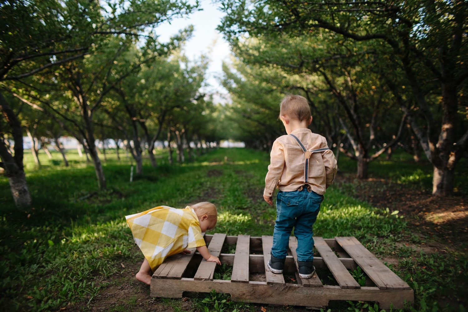 two toddlers playing in an apple orchard