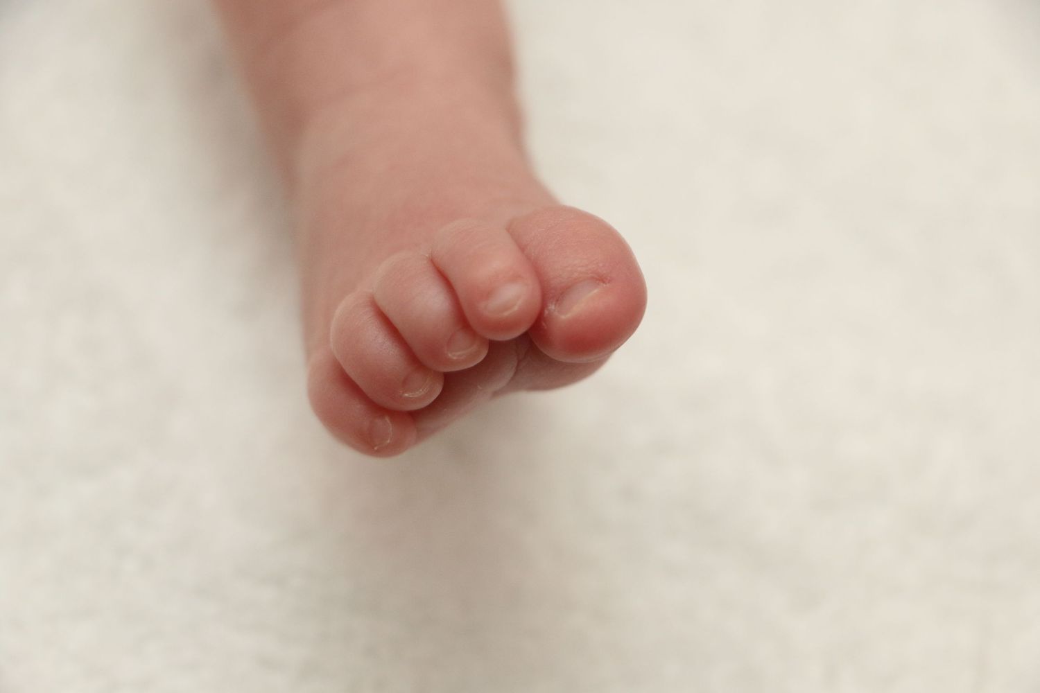 Close-up of a tiny newborn baby foot against a white background.