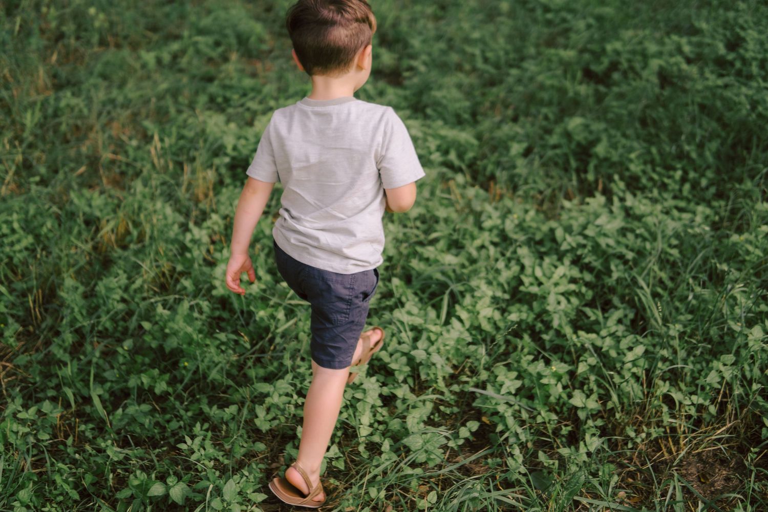 A child wearing a white t-shirt and blue shorts walks barefoot through lush green vegetation on a summer day.