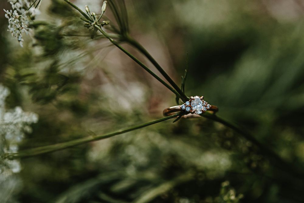 Abbotsford Wedding Photographer, Mission Wedding Photographer, Maple Ridge Wedding Photographer, Chilliwack Wedding Photographer, Langley