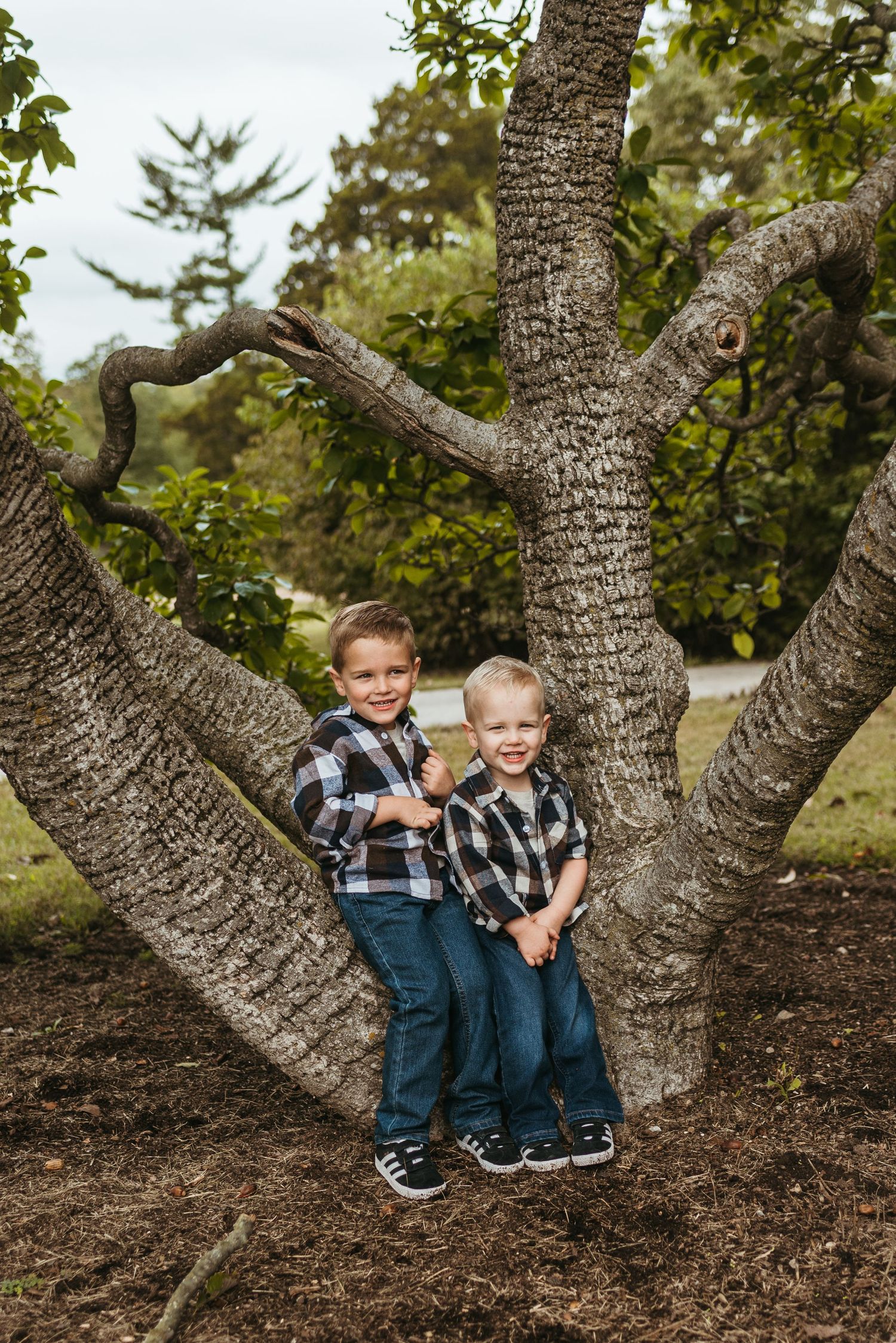 Two young children in matching plaid shirts posing in large tree trunk.