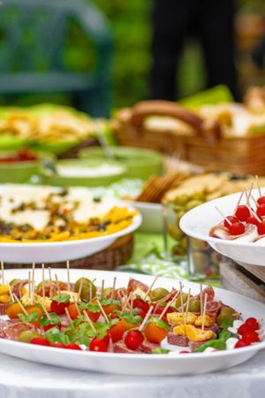 Catering buffet spread with appetizers and finger foods on white plates.