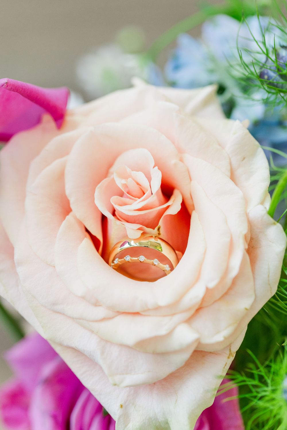 Close-up of wedding rings nestled inside a delicate blush pink rose bloom.