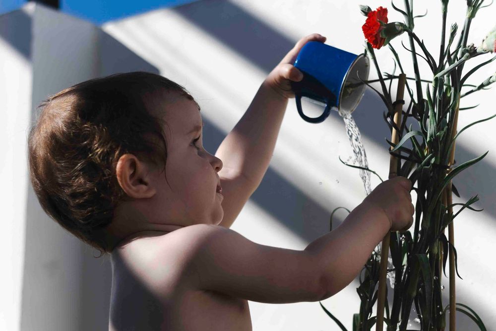 A small child uses a blue watering can to water a tall plant in a pot.