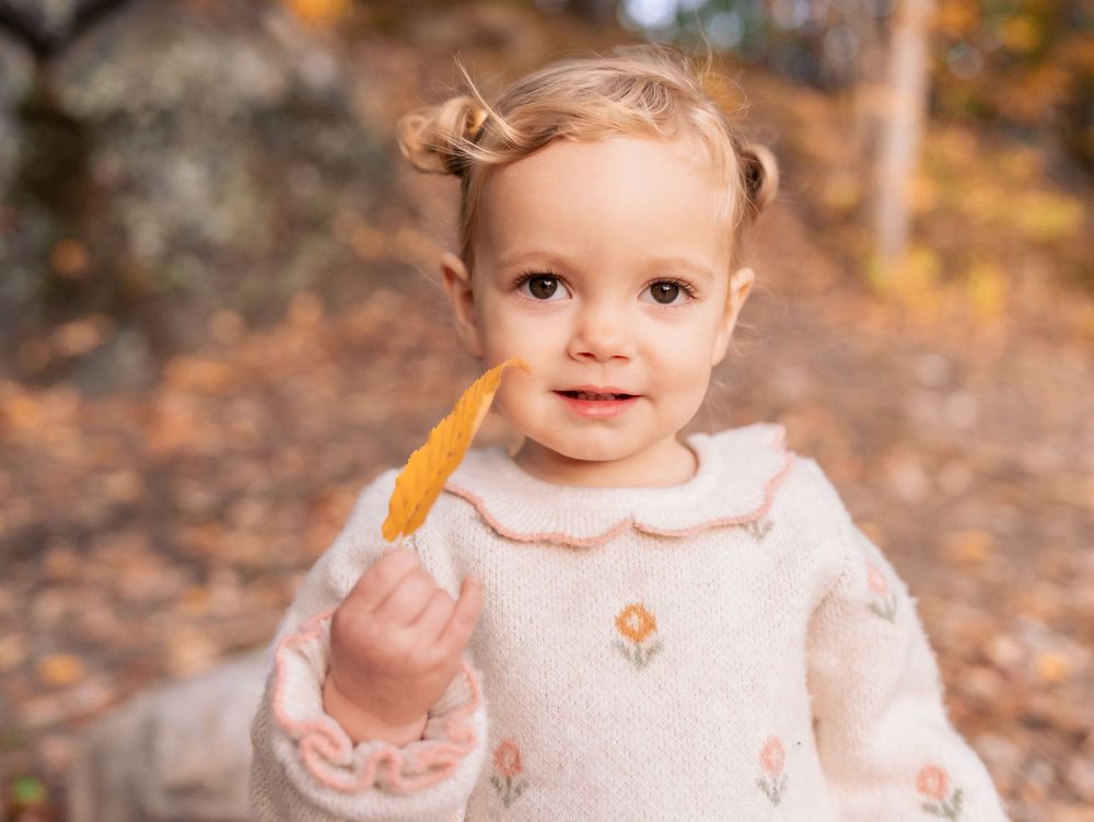 A small child in a white dress sits on autumn leaves while playing outdoors at Menotomy Rocks Park in Arlington, MA.