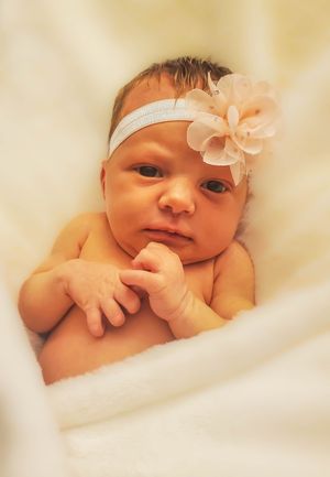 Series of soft-focus newborn portraits showing tiny hands and delicate features against cream colored blankets.
