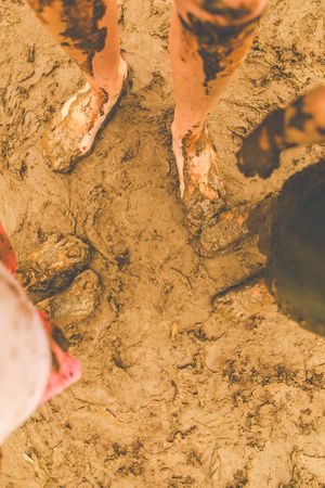 Close-up view of muddy footprints in wet soil or clay.