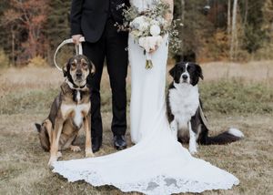Bride and groom wedding portraits with their dogs at outdoor fall wedding at Farmer Brown's Greenhouse, Moncton wedding, New Brunswick