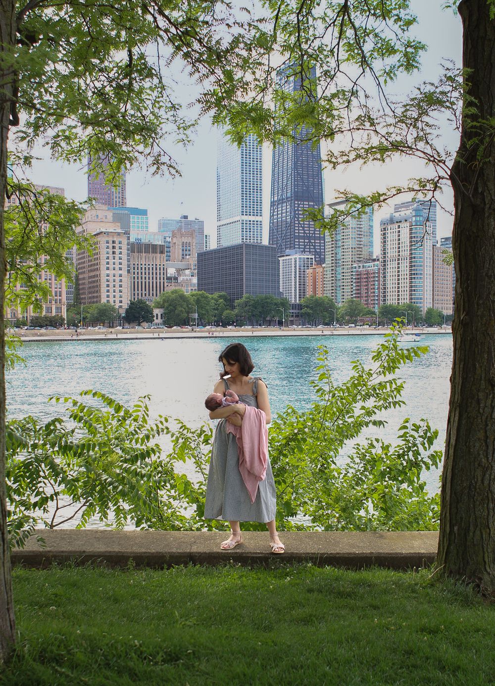 Scenic Chicago skyline view through trees with Lake Michigan waterfront.
