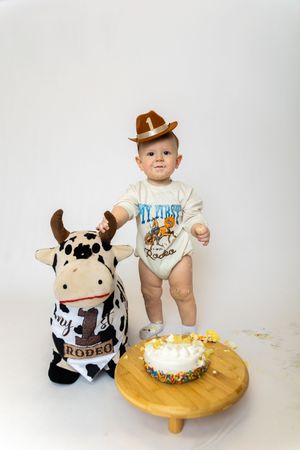 A western-themed cake smash photo set featuring a plush cow toy and small round cake on a wooden pedestal.