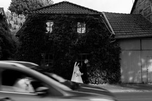 A row of traditional houses with tiled roofs line a street under overhanging trees.
