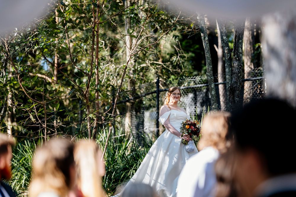 A blurred sequence of images showing motion through trees and foliage in an outdoor setting.