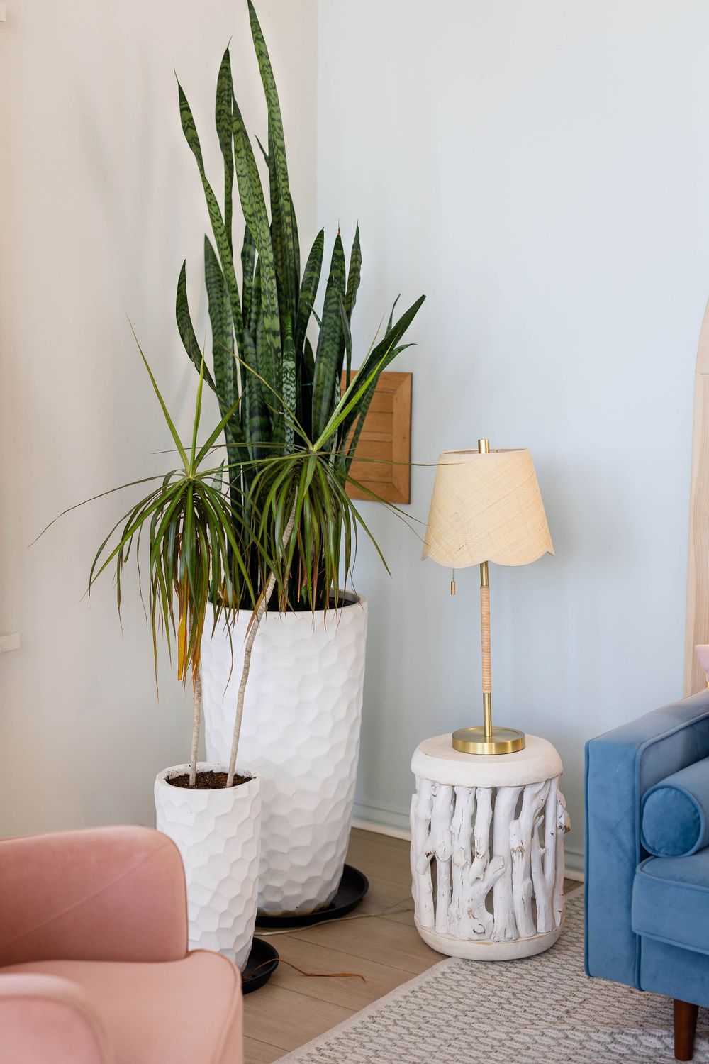Modern interior decor featuring snake plants in white textured planters with gold table lamp accents.