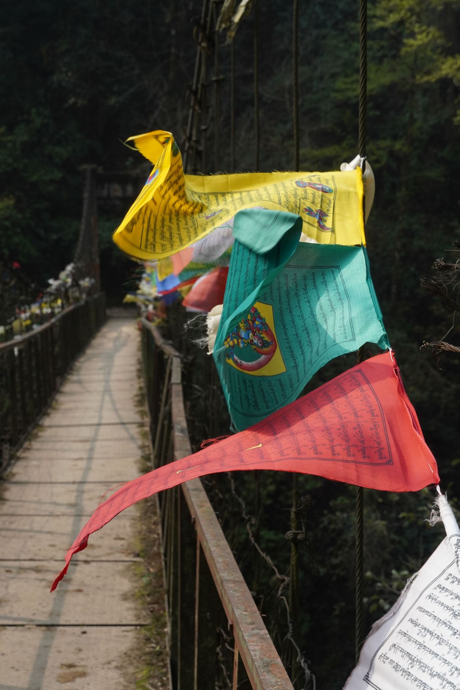 Colorful Buddhist prayer flags fluttering on a mountain bridge, a symbol of a silent pilgrimage during the Goechala trek.