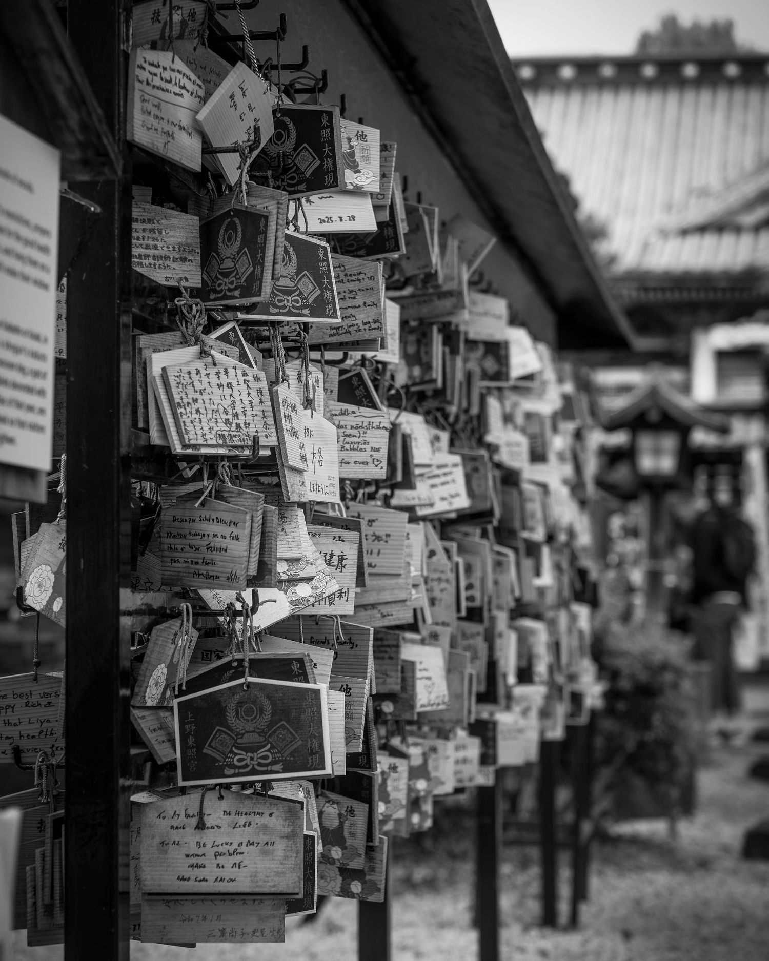 Black and white photo of ema wooden wishing plaques hanging at a Japanese Shinto shrine.