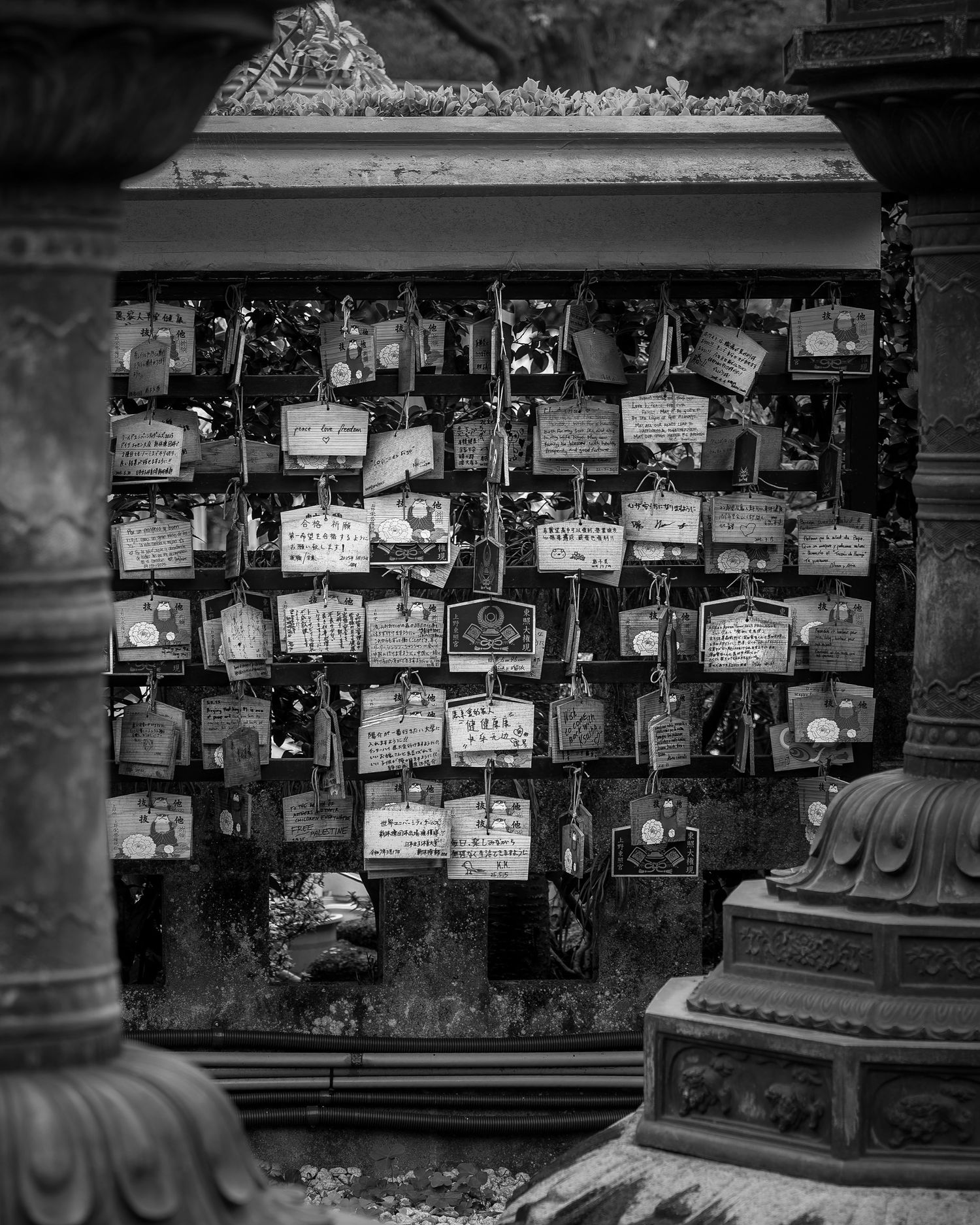 Black and white photo of Japanese ema wooden wishing plaques hanging at a traditional Shinto shrine.