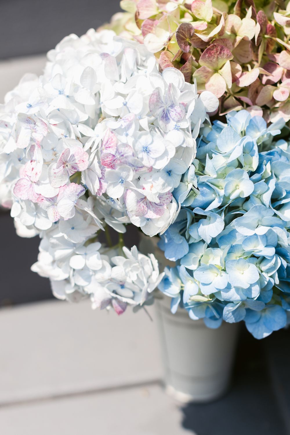A delicate arrangement of pink, white and blue hydrangea flowers in soft focus for a wedding in Bradford, Essex County MA