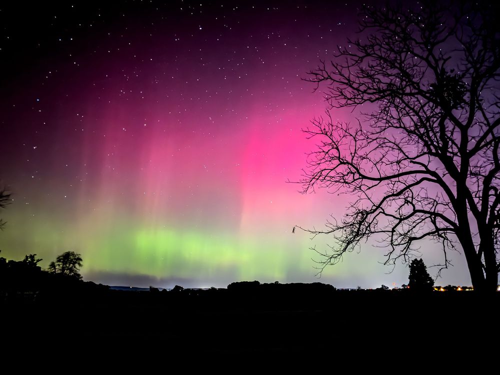 Aurora borealis creates a stunning green and pink display over a dark treeline silhouette.
