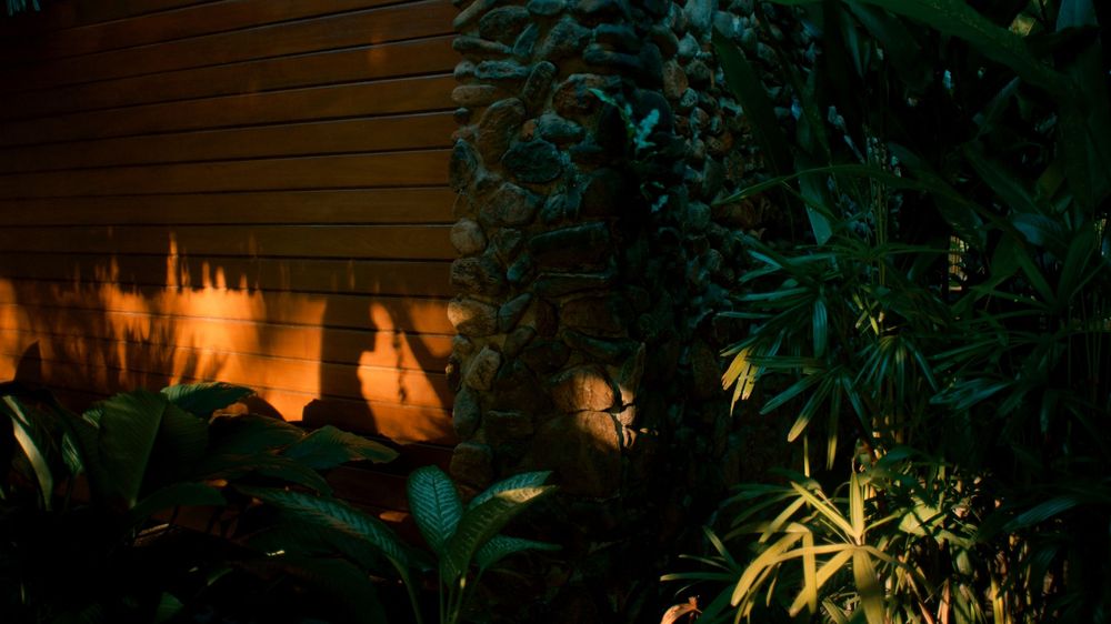 Lush tropical garden at night with dramatic warm orange lighting illuminating a wooden wall and stone column.