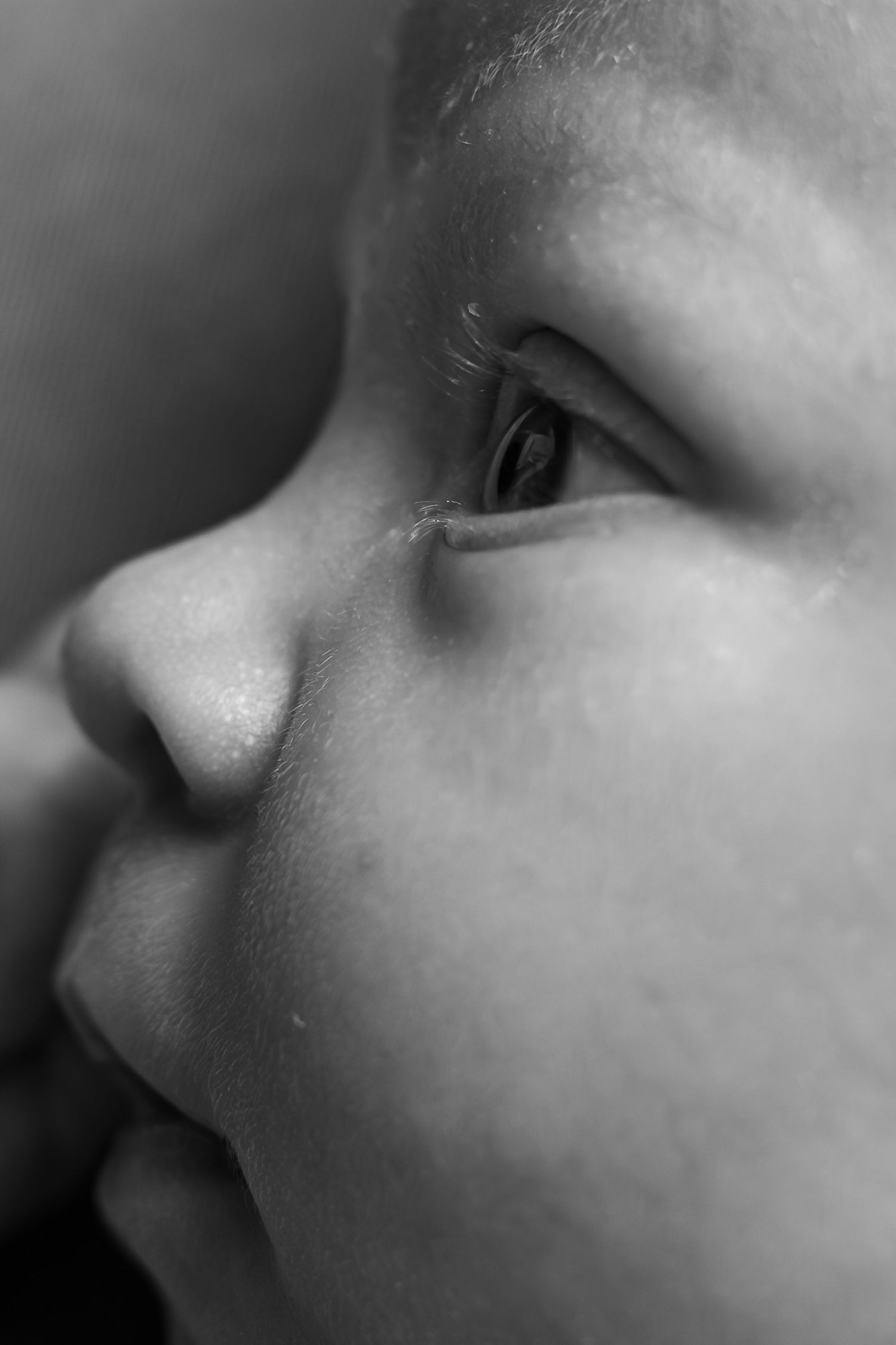 A black and white close-up macro photograph shows a series of baby faces in profile against a soft blurred background.