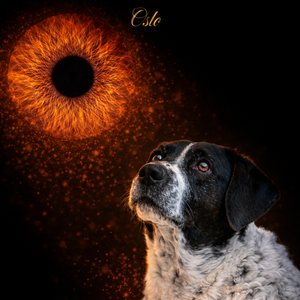 o