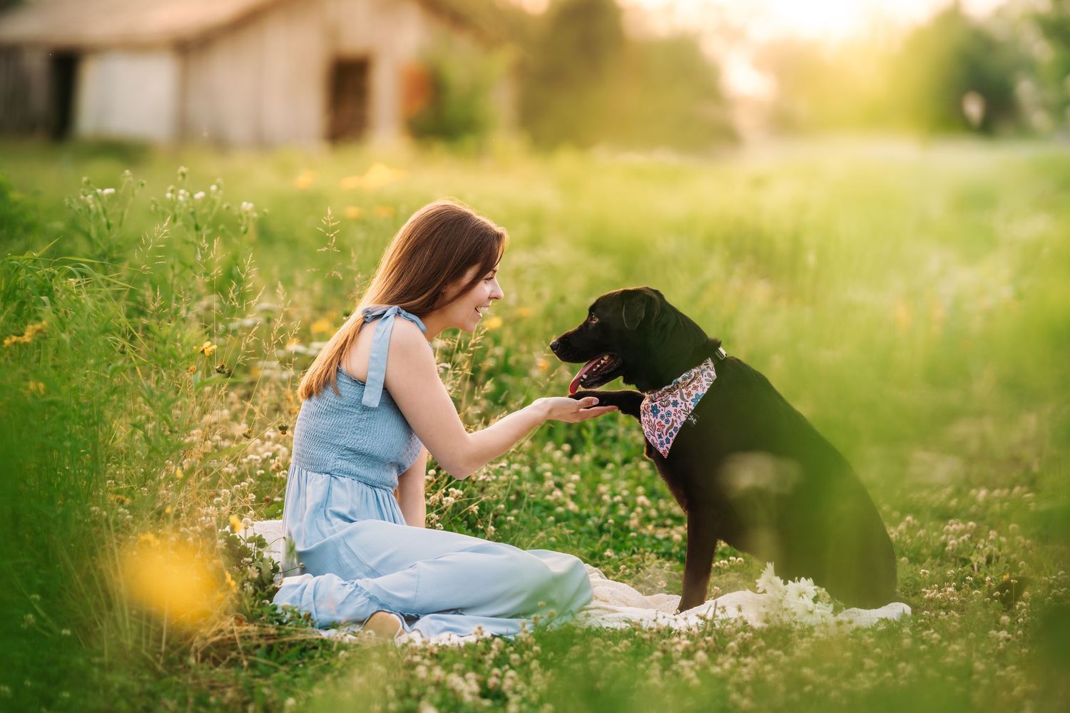 A person in a blue dress sits in a sunny meadow with a black dog while enjoying a picnic on a summer day. Cincinnati Wildflower minis