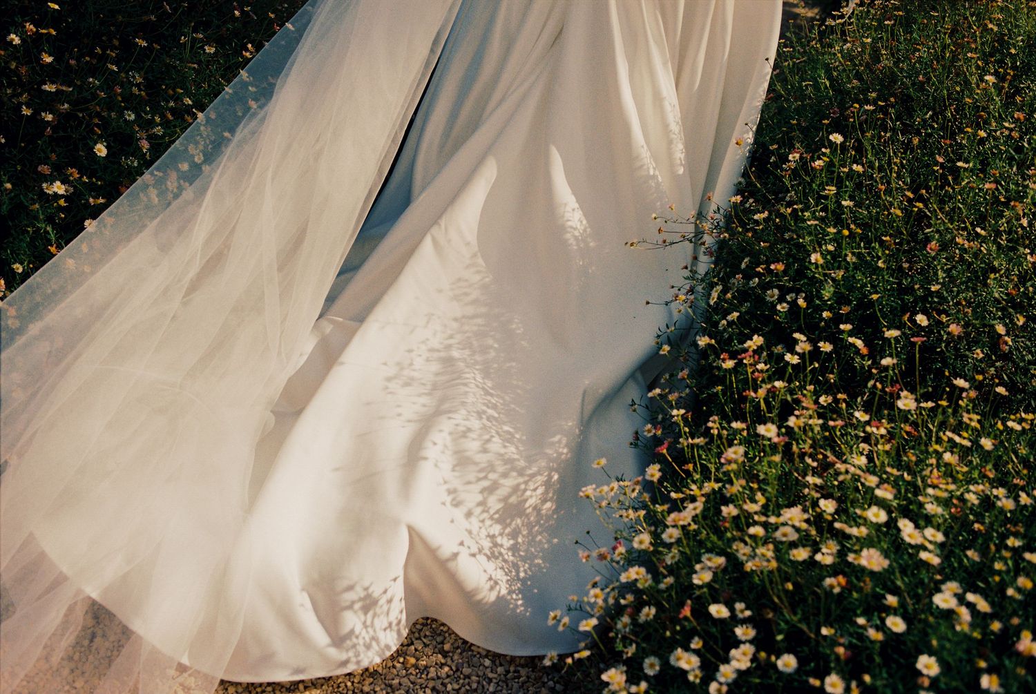 Intimate wedding at Moongate Lounge in warm lighting and guests gathered in ambient atmosphere; San Francisco Film Wedding Photographer.