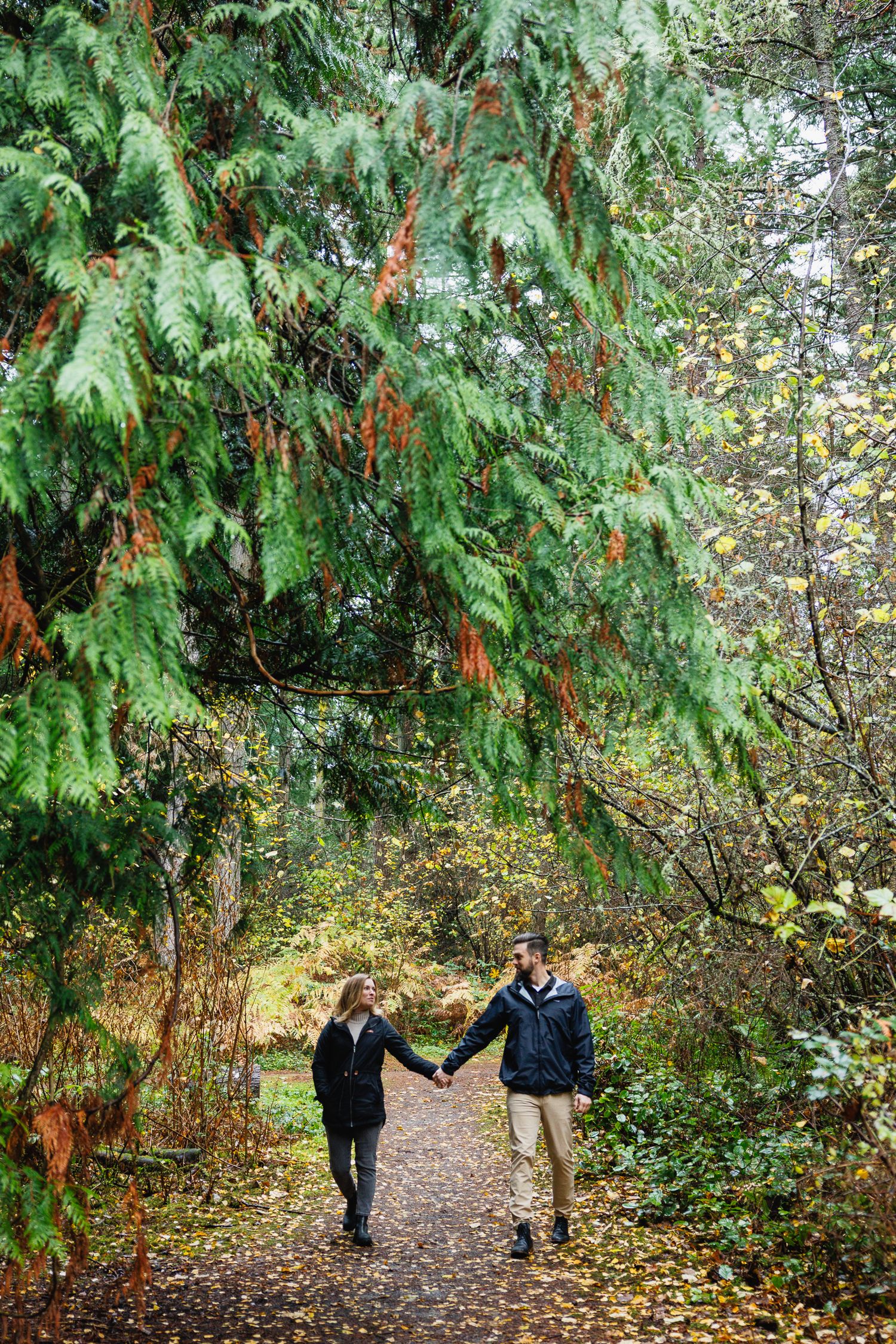 Couple holding hands strolling along a scenic forest trail lined with vibrant autumn foliage and tall trees.