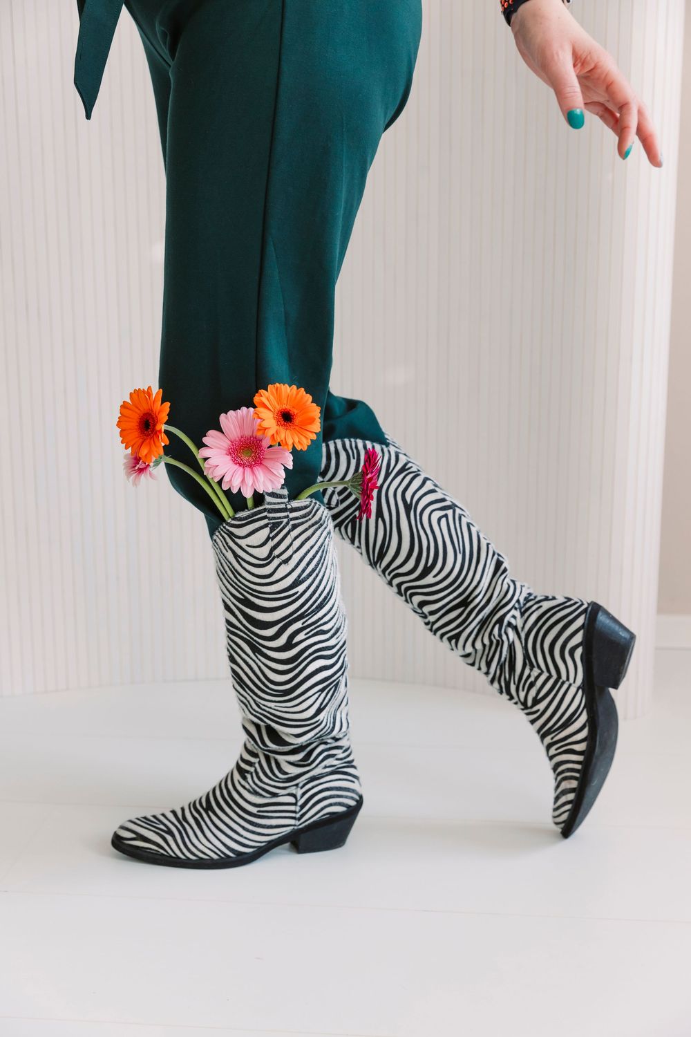 Zebra print boots with orange gerbera daisies against white background.