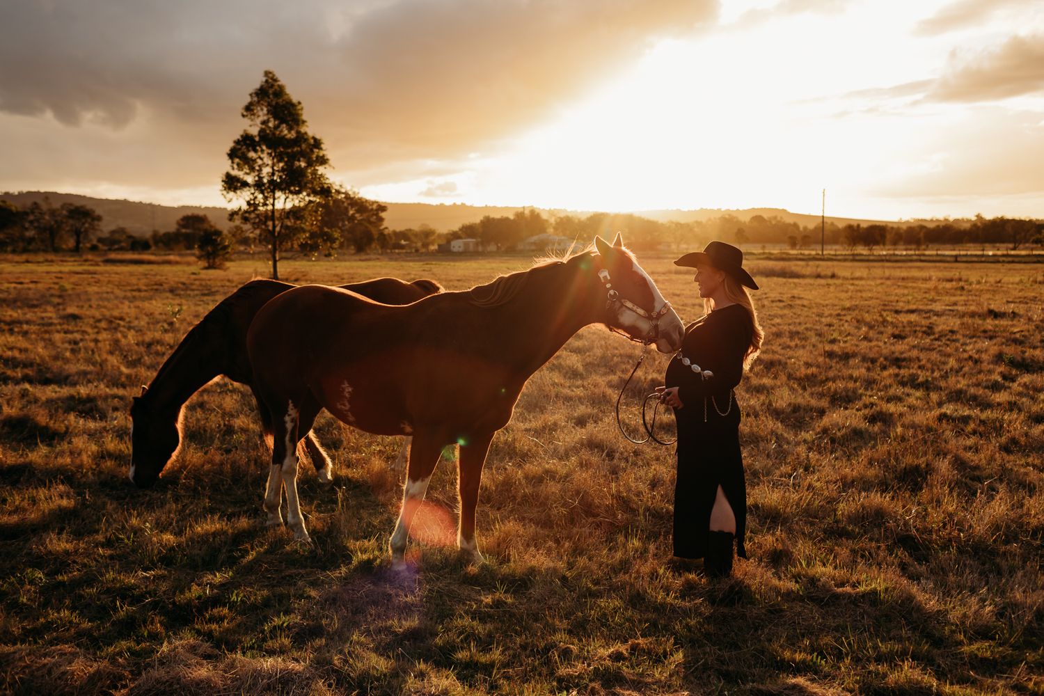 Person in hat tending to horses in golden sunset field.