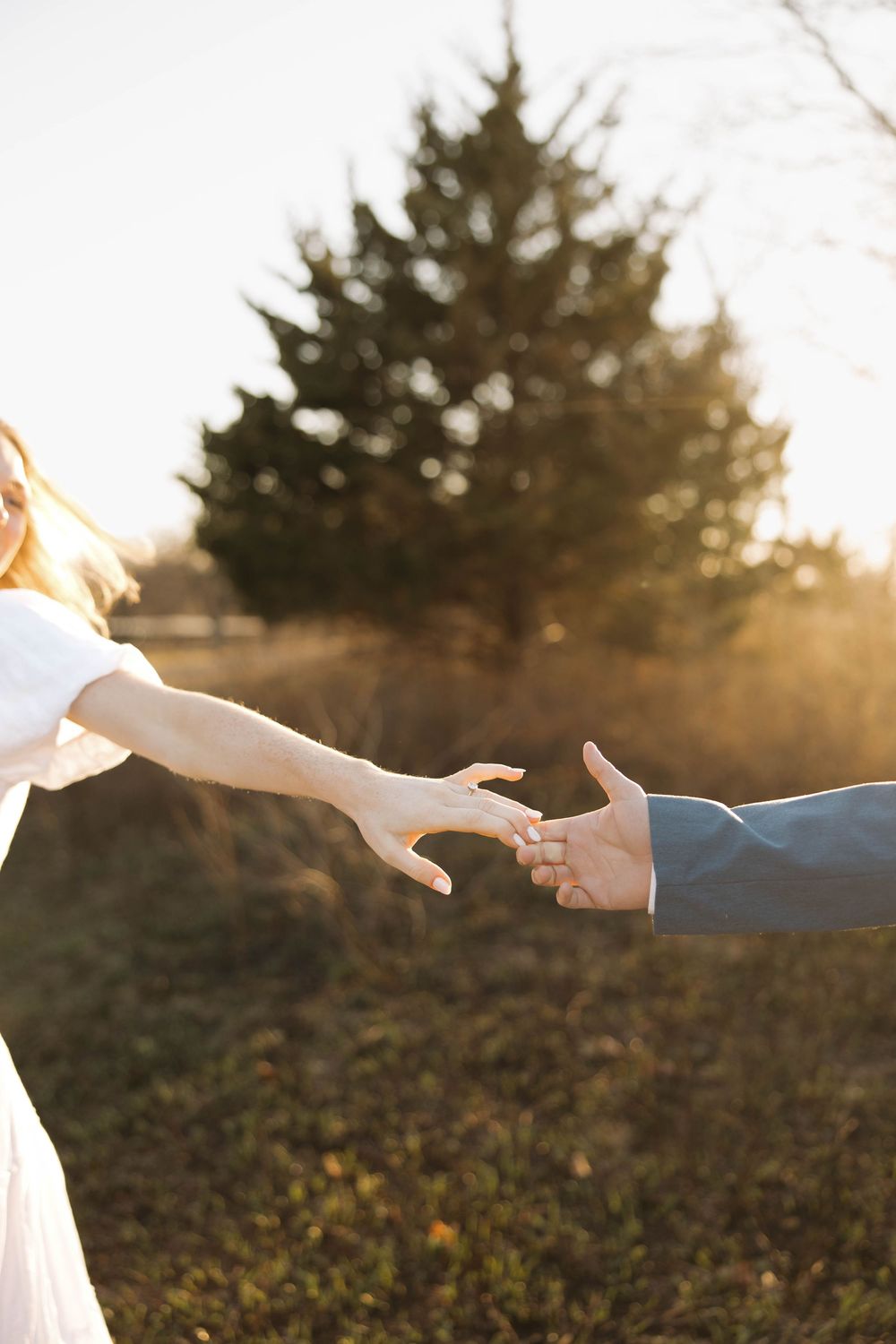 Two hands reach towards each other against a sunset-lit backdrop of evergreen trees and foliage.