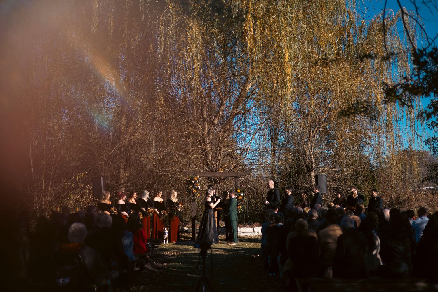 A couple gets married surrounded by friends and family under a large willow tree in Madison, Wisconsin during the late autumn.