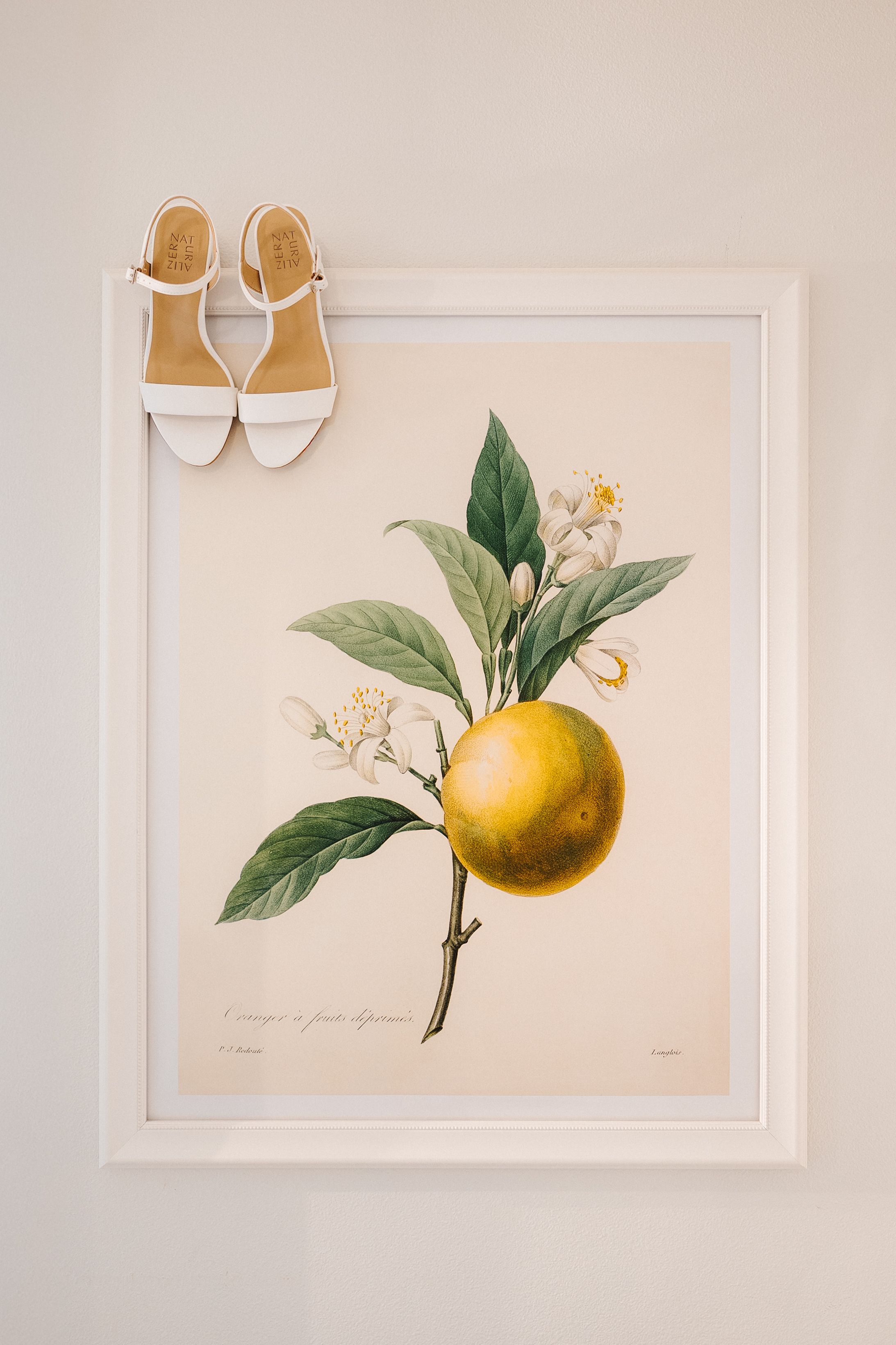 Vintage botanical citrus fruit illustration with white sandals and orange blossoms against a cream colored background.