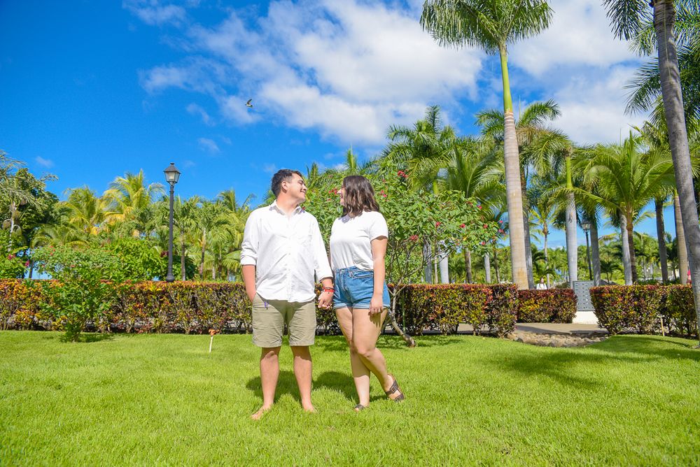 Panoramic view of a beautiful tropical garden with palm trees and colorful foliage under blue skies.