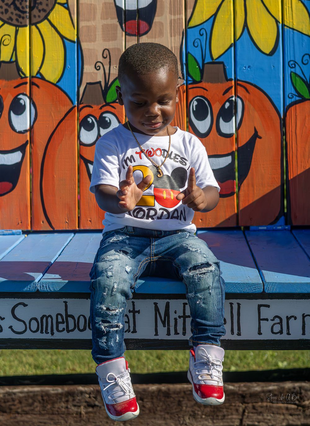 Kids birthday photography
