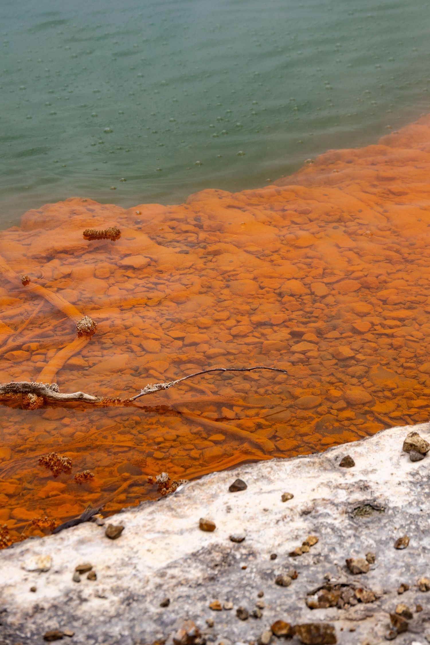Bright orange mineral deposits lining the edge of a steaming green geothermal pool with white rocky shore.