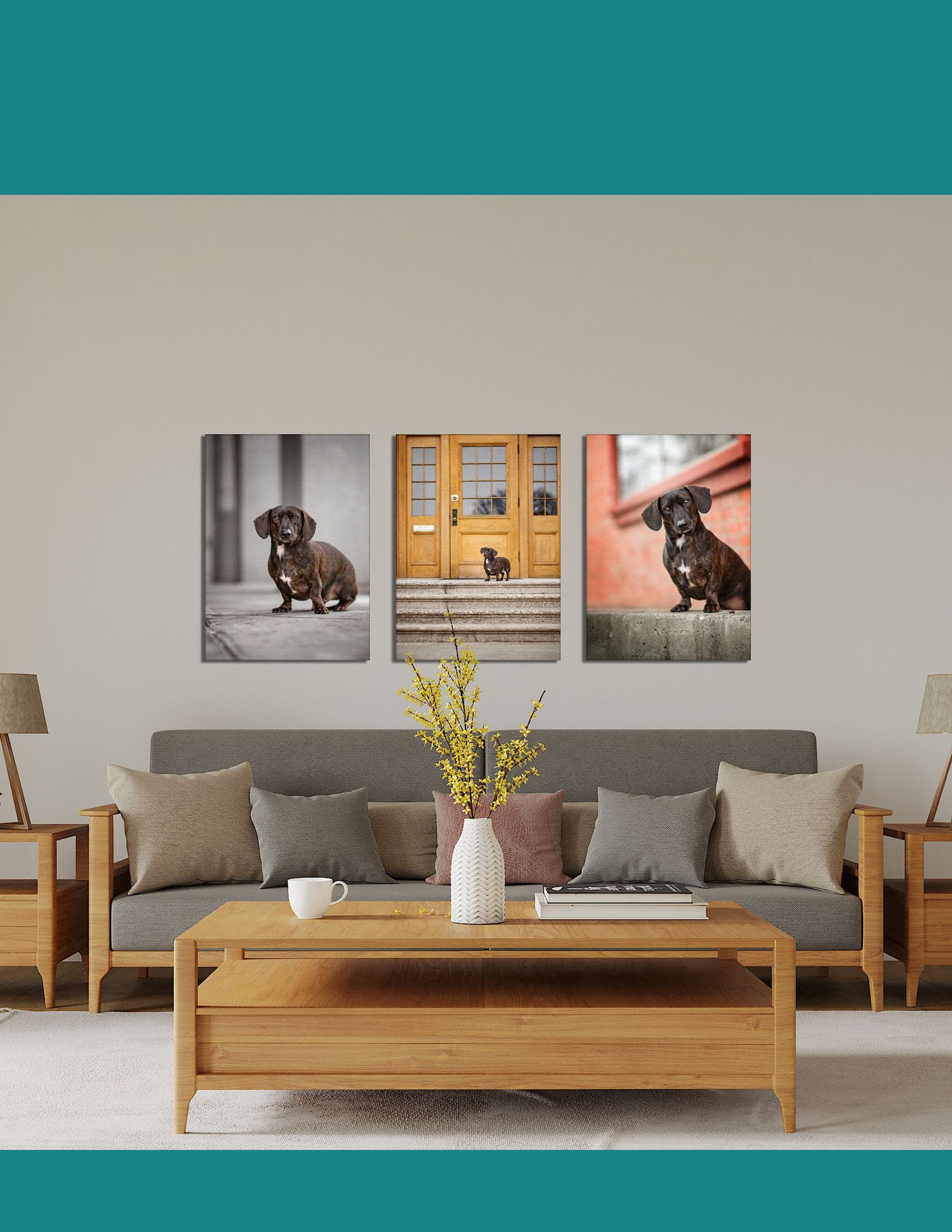 Photographer Red Deer, Alberta. Pet Photographer. Dog Photographer. Pet Portrait. Daschund. Head Tilt. Canvas Artwork.