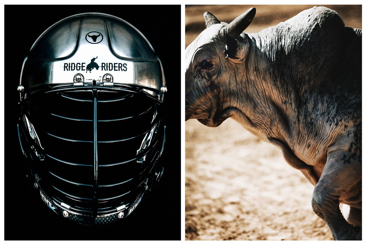 Two images with the first showcasing a Ridge Rider bull riding helmet and image of a bull photographed by Chris Douglas