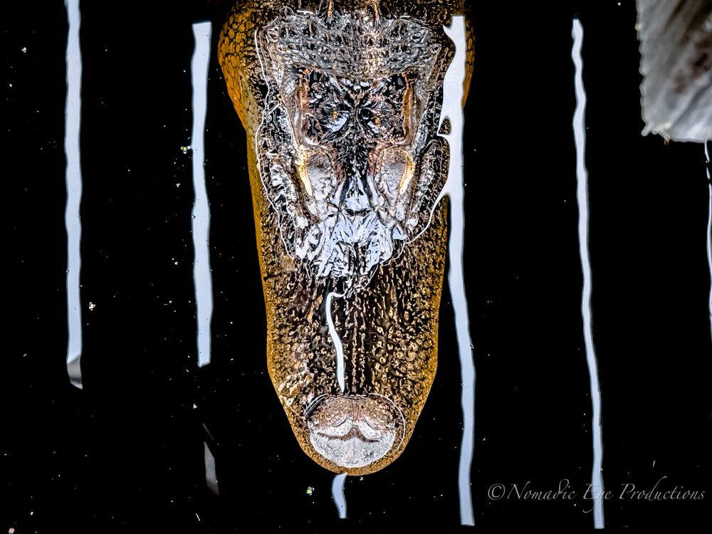 Abstract macro photography of frozen ice formations creating a textured pattern.
