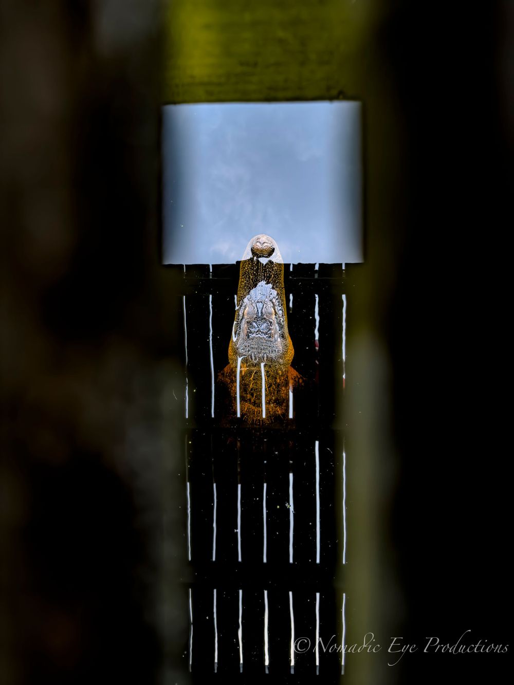 Artistic photograph of an illuminated bottle seen through a narrow vertical opening.
