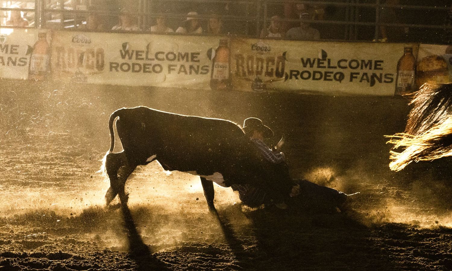 Silhouetted cowboys on horseback kick up dust in a dramatic rodeo arena scene at sunset.