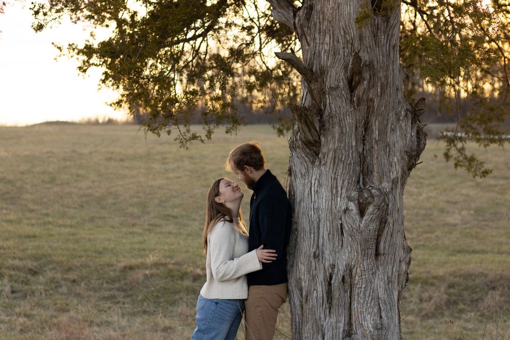 Romantic portraits by tree with rolling hills in background during sunset.