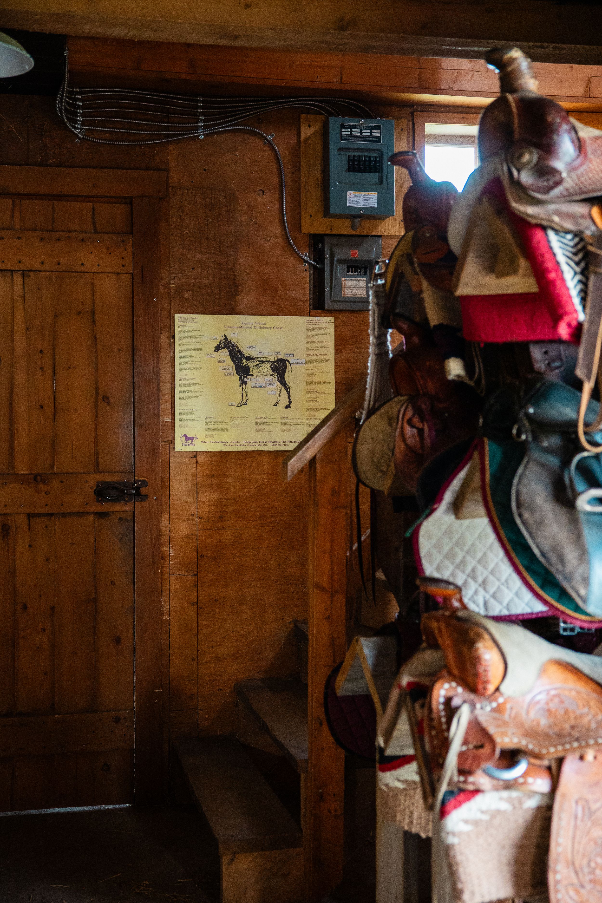 Rustic wooden tack room with Western saddles, horse anatomy chart, and vintage equipment on display.